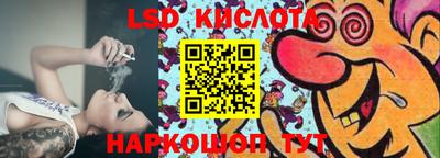 Альфа ПВП Гатчина
