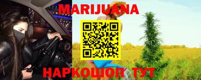 Альфа ПВП Гатчина