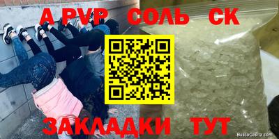 Альфа ПВП Гатчина