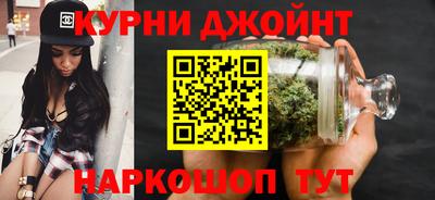 сатива Гагарин
