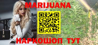 Альфа ПВП Гатчина